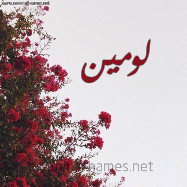 شكل 18 صوره الورد الأحمر للإسم بخط رقعة صورة اسم لومين lomeen