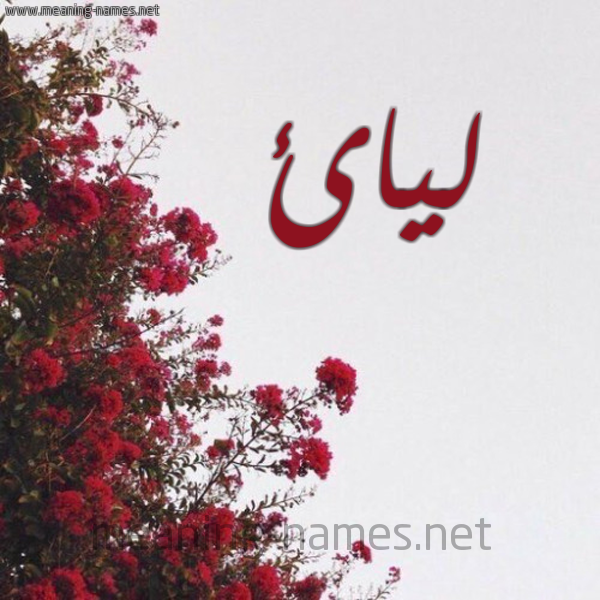 شكل 18 صوره الورد الأحمر للإسم بخط رقعة صورة اسم ليائ Layaa