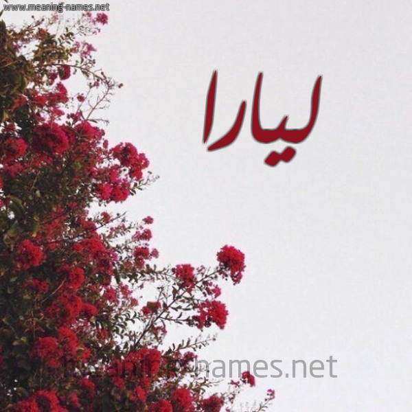 شكل 18 صوره الورد الأحمر للإسم بخط رقعة صورة اسم ليارا lyara