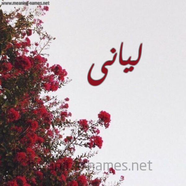 شكل 18 صوره الورد الأحمر للإسم بخط رقعة صورة اسم ليانى Layan