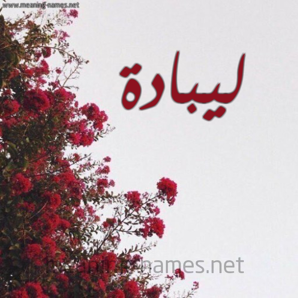 شكل 18 صوره الورد الأحمر للإسم بخط رقعة صورة اسم ليبادة Lubbadah