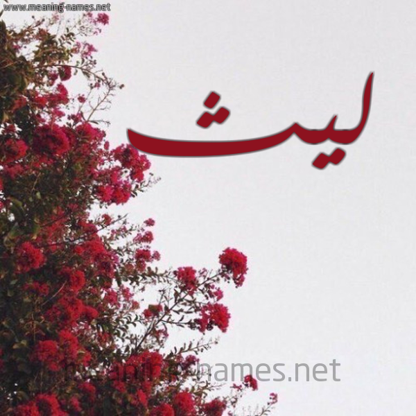 شكل 18 صوره الورد الأحمر للإسم بخط رقعة صورة اسم ليث Lyth