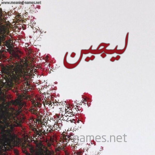 شكل 18 صوره الورد الأحمر للإسم بخط رقعة صورة اسم ليجين Lujain