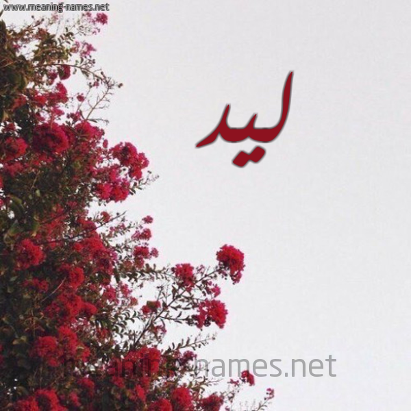 شكل 18 صوره الورد الأحمر للإسم بخط رقعة صورة اسم ليد LID