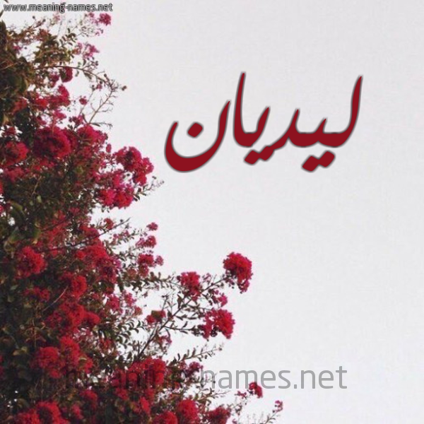 شكل 18 صوره الورد الأحمر للإسم بخط رقعة صورة اسم ليديان lidian