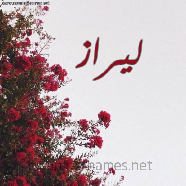 شكل 18 صوره الورد الأحمر للإسم بخط رقعة صورة اسم ليراز lizar