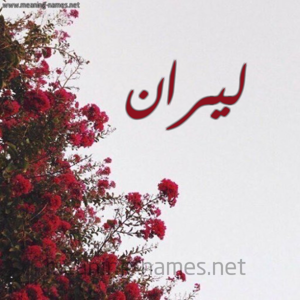 شكل 18 صوره الورد الأحمر للإسم بخط رقعة صورة اسم ليران liran