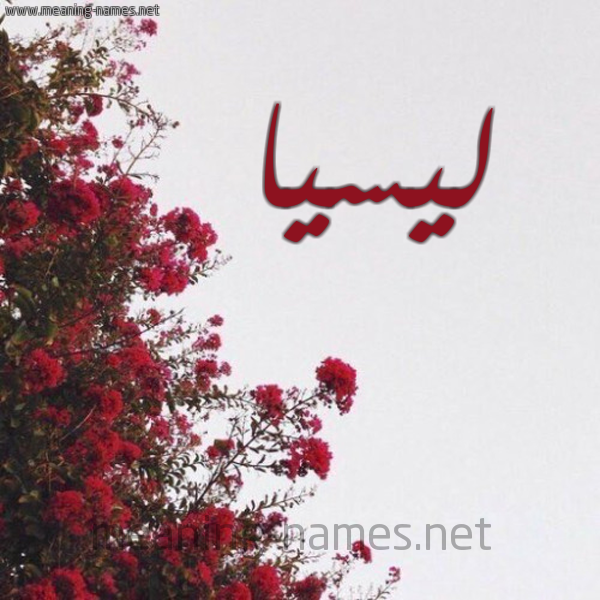 شكل 18 صوره الورد الأحمر للإسم بخط رقعة صورة اسم ليسيا Lissa
