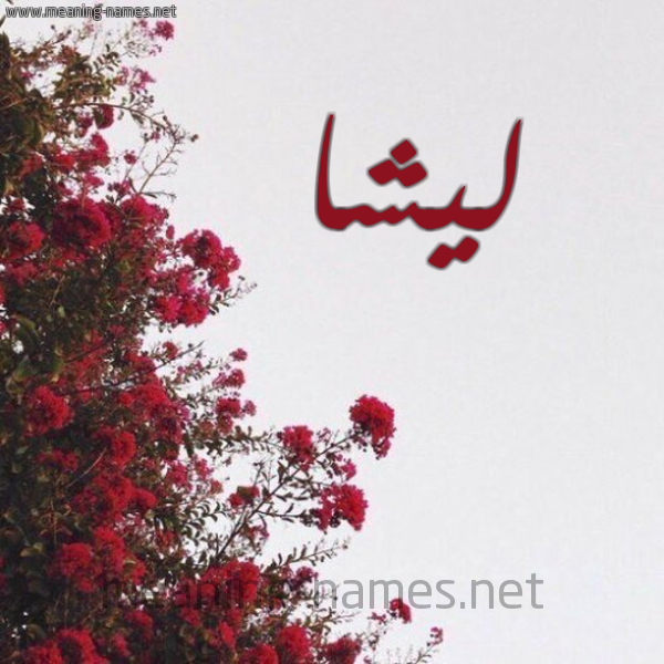 شكل 18 صوره الورد الأحمر للإسم بخط رقعة صورة اسم ليشا lisha