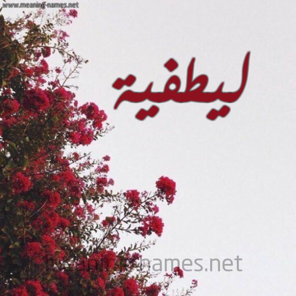 شكل 18 صوره الورد الأحمر للإسم بخط رقعة صورة اسم ليطفية Lutfeyyah