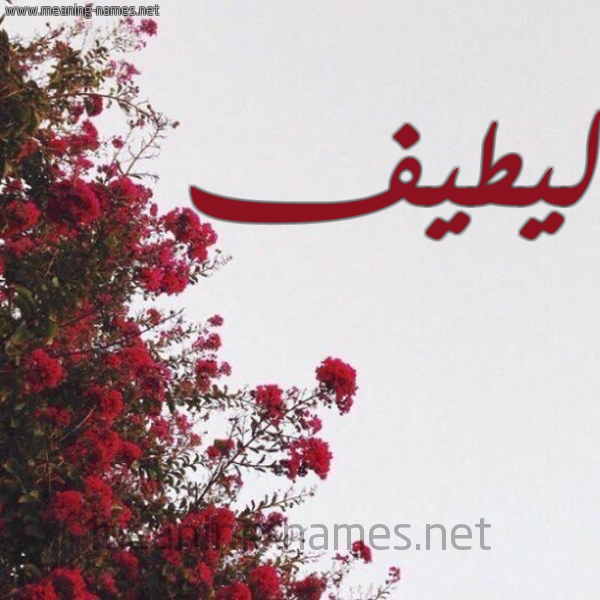 شكل 18 صوره الورد الأحمر للإسم بخط رقعة صورة اسم ليطيف Lateef