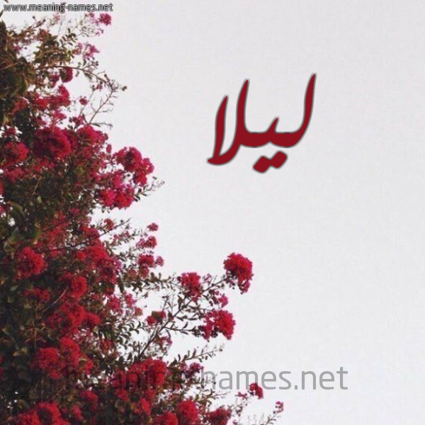 شكل 18 صوره الورد الأحمر للإسم بخط رقعة صورة اسم ليلا Lila
