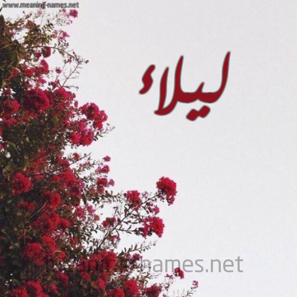 شكل 18 صوره الورد الأحمر للإسم بخط رقعة صورة اسم ليلاء Lailaa