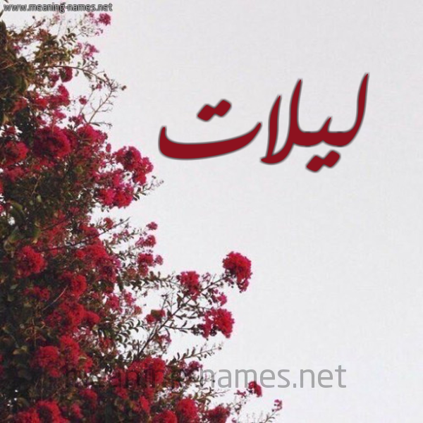 شكل 18 صوره الورد الأحمر للإسم بخط رقعة صورة اسم ليلات Lailat