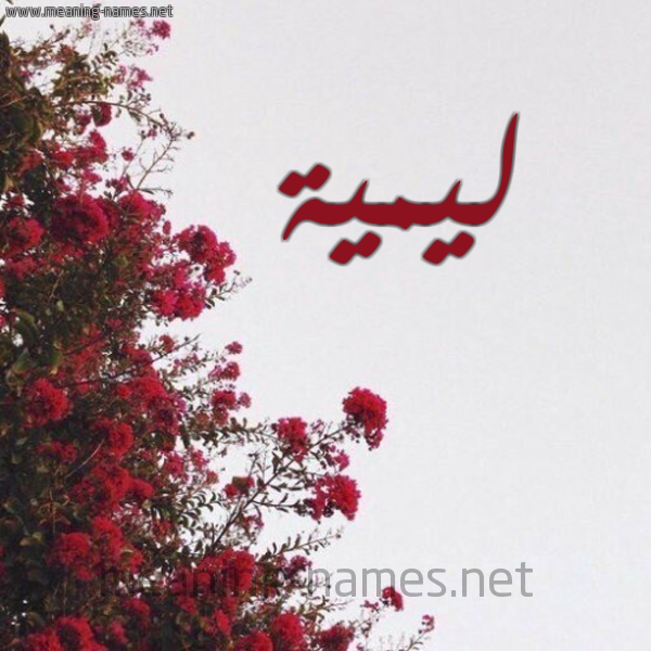 شكل 18 صوره الورد الأحمر للإسم بخط رقعة صورة اسم ليمية Lamia