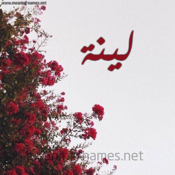 شكل 18 صوره الورد الأحمر للإسم بخط رقعة صورة اسم لينة Lyna