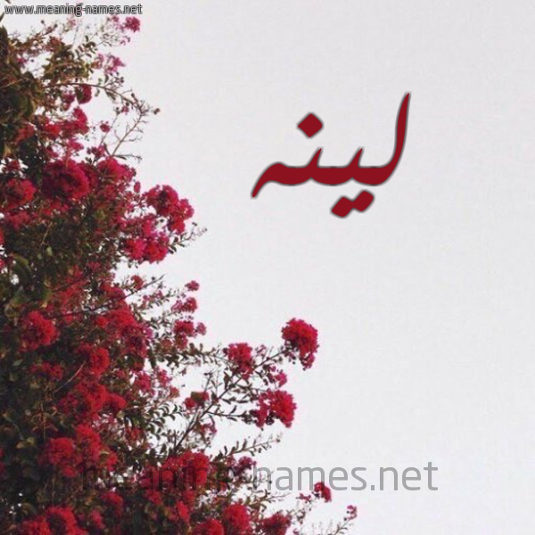 شكل 18 صوره الورد الأحمر للإسم بخط رقعة صورة اسم لينه Lynh