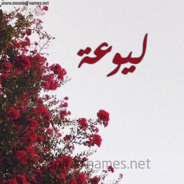 شكل 18 صوره الورد الأحمر للإسم بخط رقعة صورة اسم ليوعة Lawaa