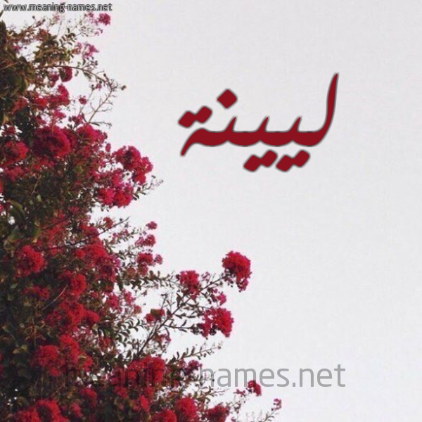 شكل 18 صوره الورد الأحمر للإسم بخط رقعة صورة اسم ليينة Lina