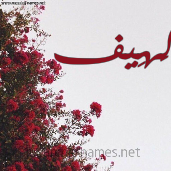 شكل 18 صوره الورد الأحمر للإسم بخط رقعة صورة اسم لَهِيف LAHEIF