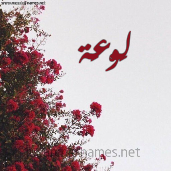 شكل 18 صوره الورد الأحمر للإسم بخط رقعة صورة اسم لَوْعَة LAOAAH