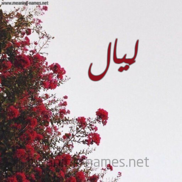 شكل 18 صوره الورد الأحمر للإسم بخط رقعة صورة اسم لَيال Laial