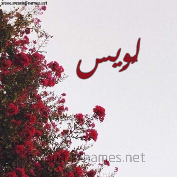 شكل 18 صوره الورد الأحمر للإسم بخط رقعة صورة اسم لُوِيس LOOEIS
