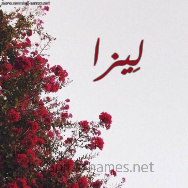 شكل 18 صوره الورد الأحمر للإسم بخط رقعة صورة اسم لِيزا Leiza