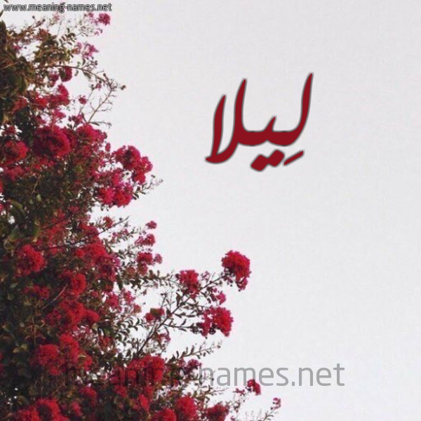 شكل 18 صوره الورد الأحمر للإسم بخط رقعة صورة اسم لِيلا LEILA