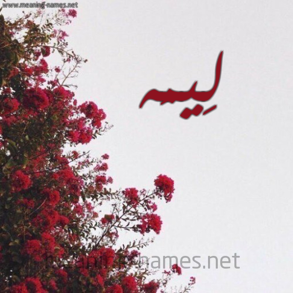 شكل 18 صوره الورد الأحمر للإسم بخط رقعة صورة اسم لِيمَه LEIMAH
