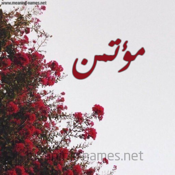 شكل 18 صوره الورد الأحمر للإسم بخط رقعة صورة اسم مؤتمن moataman