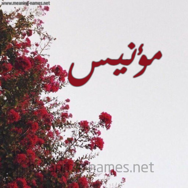 شكل 18 صوره الورد الأحمر للإسم بخط رقعة صورة اسم مؤنيس Mones