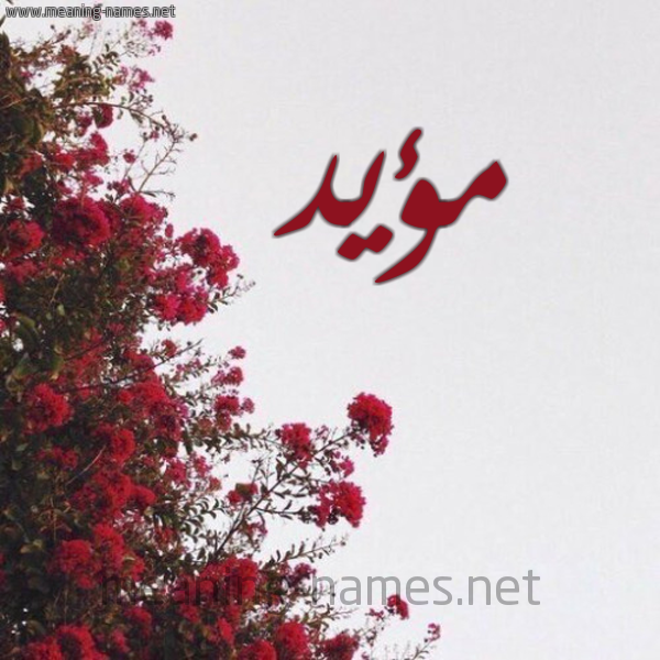 شكل 18 صوره الورد الأحمر للإسم بخط رقعة صورة اسم مؤيد Moaid