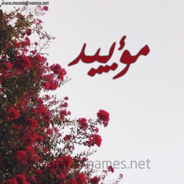 شكل 18 صوره الورد الأحمر للإسم بخط رقعة صورة اسم مؤييد Moayad