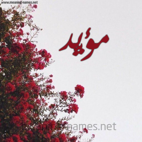شكل 18 صوره الورد الأحمر للإسم بخط رقعة صورة اسم مؤيَّد MOIAD