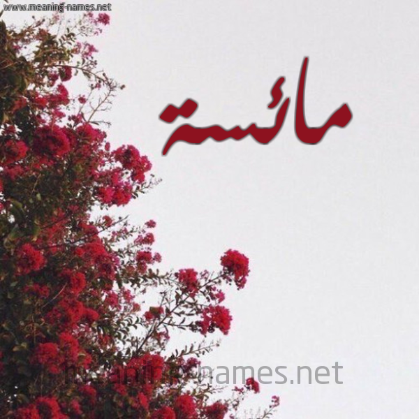 شكل 18 صوره الورد الأحمر للإسم بخط رقعة صورة اسم مائسة Ma'is'h