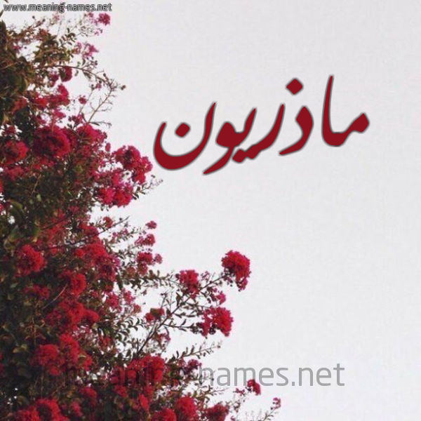 شكل 18 صوره الورد الأحمر للإسم بخط رقعة صورة اسم ماذريون Madhrywn
