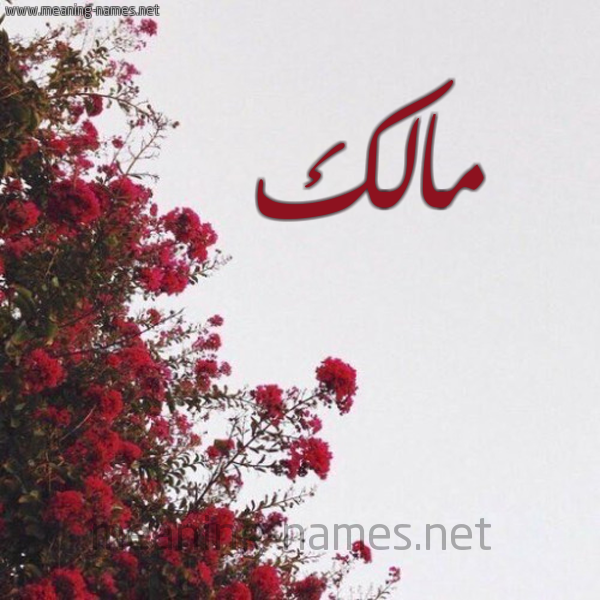 شكل 18 صوره الورد الأحمر للإسم بخط رقعة صورة اسم مالك Malik