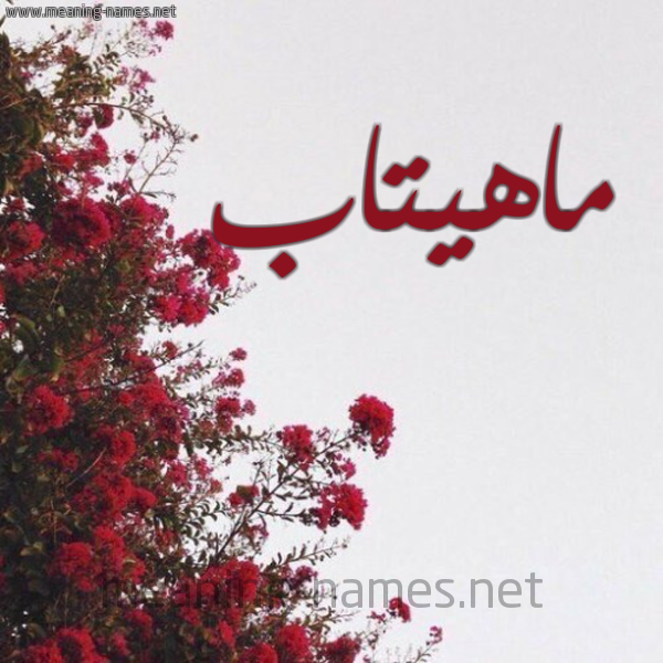 شكل 18 صوره الورد الأحمر للإسم بخط رقعة صورة اسم ماهيتاب MAHITAB