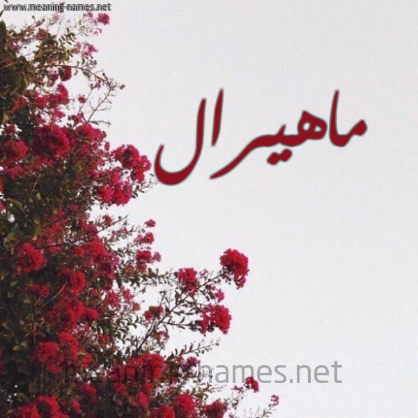 شكل 18 صوره الورد الأحمر للإسم بخط رقعة صورة اسم ماهيرال Mahyral