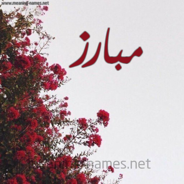 شكل 18 صوره الورد الأحمر للإسم بخط رقعة صورة اسم مبارز Mobariz