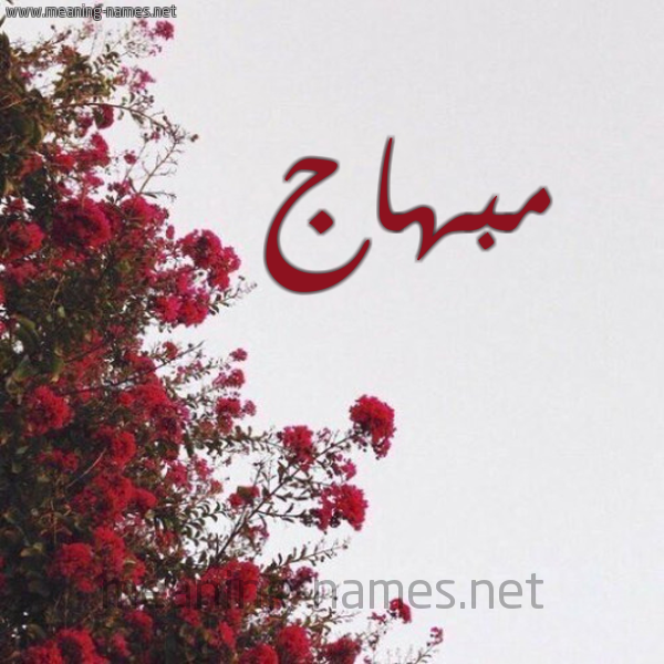شكل 18 صوره الورد الأحمر للإسم بخط رقعة صورة اسم مبهاج Mbhaj