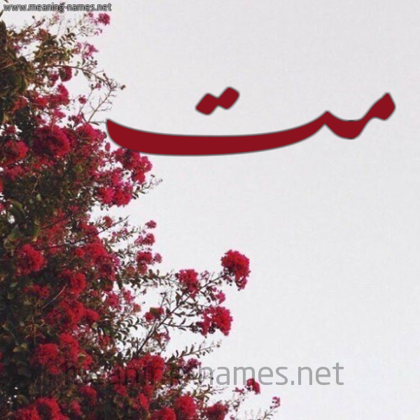 شكل 18 صوره الورد الأحمر للإسم بخط رقعة صورة اسم مت mot