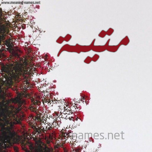 شكل 18 صوره الورد الأحمر للإسم بخط رقعة صورة اسم متيمة Motaiama