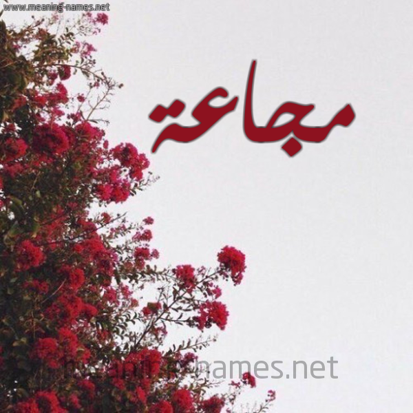 شكل 18 صوره الورد الأحمر للإسم بخط رقعة صورة اسم مجاعة MGAAH