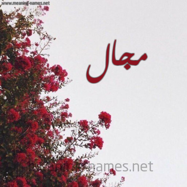 شكل 18 صوره الورد الأحمر للإسم بخط رقعة صورة اسم مجال Mjal