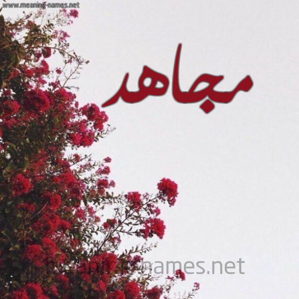 شكل 18 صوره الورد الأحمر للإسم بخط رقعة صورة اسم مجاهد Megahd