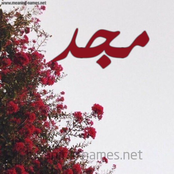 شكل 18 صوره الورد الأحمر للإسم بخط رقعة صورة اسم مجد Magd
