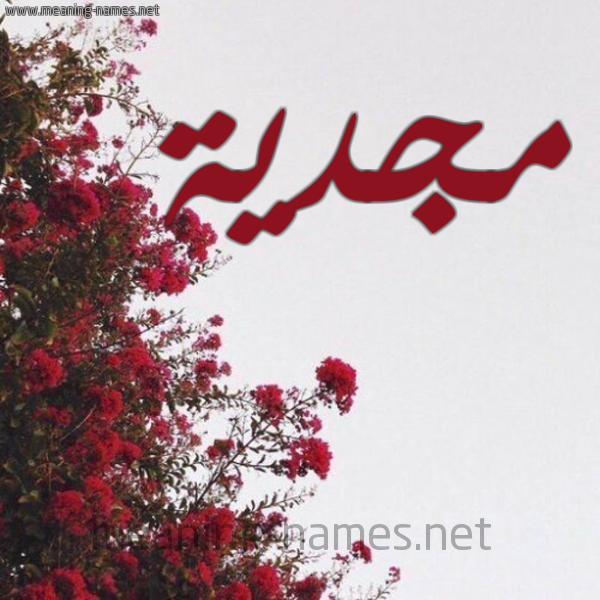 شكل 18 صوره الورد الأحمر للإسم بخط رقعة صورة اسم مجدية MGDIa