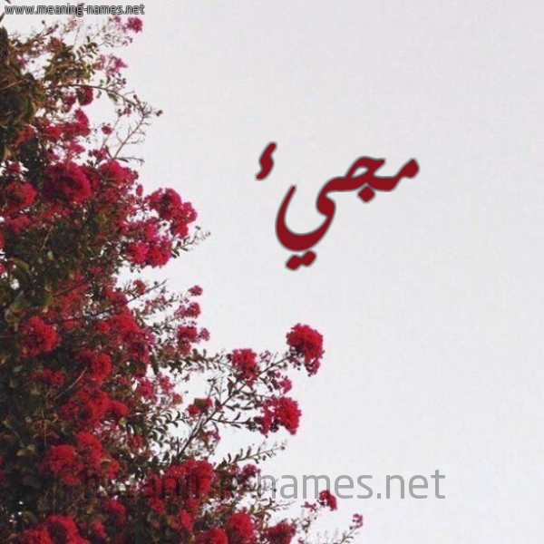 شكل 18 صوره الورد الأحمر للإسم بخط رقعة صورة اسم مجيء Mjy'a